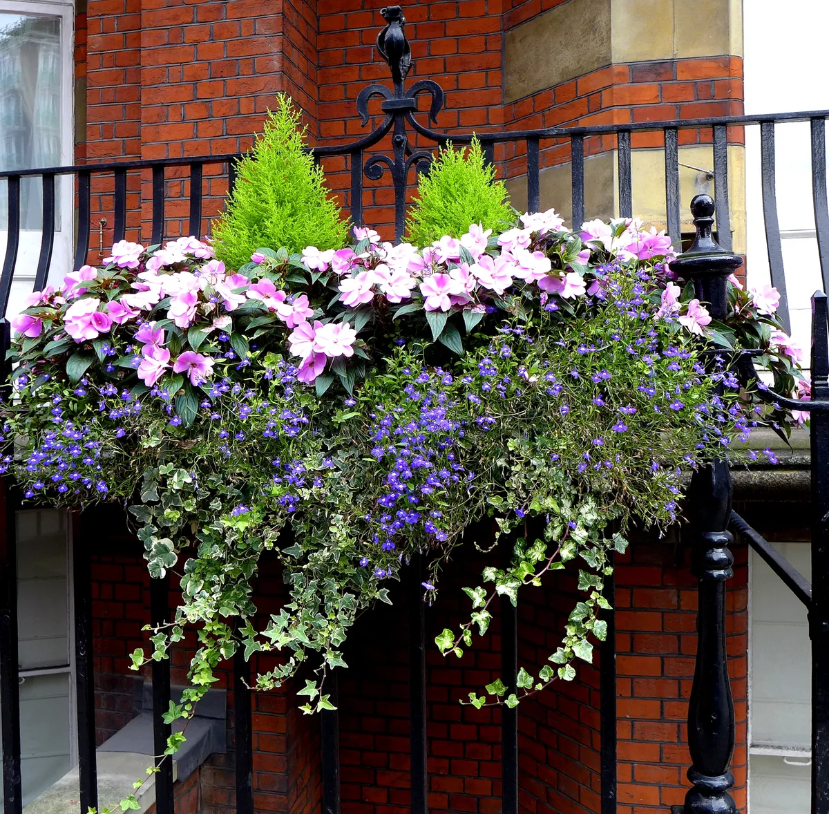 Bienenfreundlicher Balkon